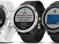 Garmin Vivoactive 3 GPS smartwatch (Source: Garmin)