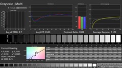 CalMAN: grayscale (calibrated)