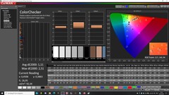 CalMAN: ColorChecker (calibrated)