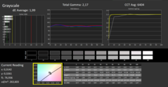 Calman ColorChecker: DisplayP3 display mode - greyscale