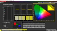 CalMAN grayscale calibration (Target Color Space P3)