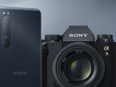 The Xperia 5 II is one of five Xperia smartphones to receive Android 11 so far. (Image source: Sony)