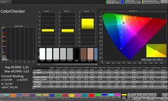 ColorChecker (Profile: Professional, Target color space: sRGB)