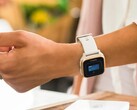 It is rumored that new contactless payment services will be introduced to Garmin smartwatches. (Image source: Garmin)
