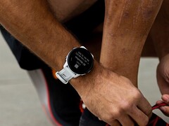 Garmin has rolled out beta version 20.21 for the Forerunner 955. (Image source: Garmin)