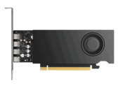 50 W TGP and no power connector (Image Source: PNY)