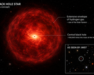 Concept of a “black hole star”: a massive black hole surrounded by a dense hydrogen.