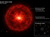 Concept of a “black hole star”: a massive black hole surrounded by a dense hydrogen.