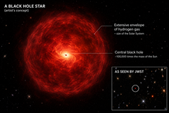 Concept of a “black hole star”: a massive black hole surrounded by a dense hydrogen.