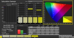 CalMAN: Color saturation (calibration)