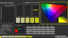 CalMAN: Saturation (calibrated)