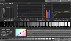 Grayscale (profile: Professional, target color space: sRGB)