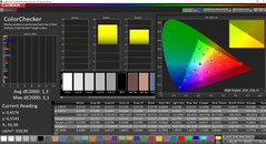 CalMAN - Color accuracy (calibrated)