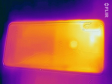 Thermal image - back
