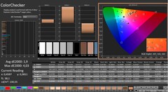 CalMAN: ColorChecker (calibrated)
