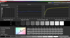 CalMAN grayscale calibrated