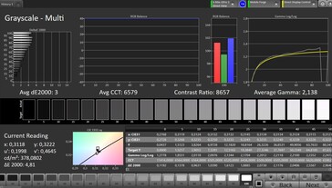 CalMAN grayscale outer display