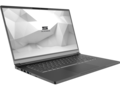 The VIA 15 Pro laptop still features a very good FHD LCD panel with 100% sRGB color gamut. (Image Source: Schenker)