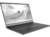 The VIA 15 Pro laptop still features a very good FHD LCD panel with 100% sRGB color gamut. (Image Source: Schenker)