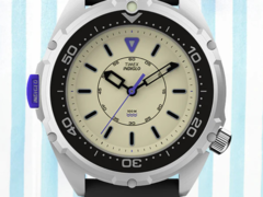 The Timex  Intrepid x Dimepiece Edition (pictured). (Image source: Timex)
