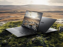 (Image Source: XMG)