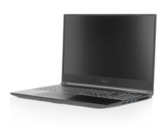 The new Polaris laptops can be equipped with AMD Renoir and Intel Comet Lake processors. (Image Source: Tuxedo)