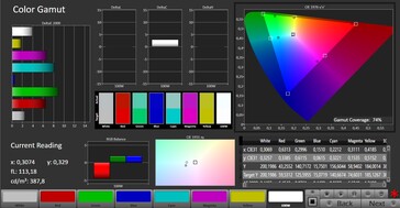 CalMAN AdobeRGB color space