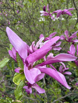 Photo taken using main camera