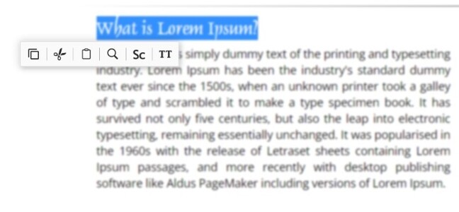 In this example, Pantherbar is set to present options to copy, cut, paste, search, and adjust text case. (Image source: author)