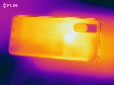 Heatmap Bottom