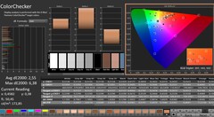 CalMAN: ColorChecker (calibrated)
