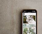 Smartphone on a gray surface with a gallery of cat and flower photos on the screen