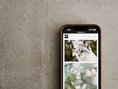 Smartphone on a gray surface with a gallery of cat and flower photos on the screen