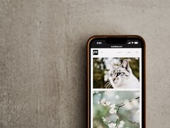 Smartphone on a gray surface with a gallery of cat and flower photos on the screen