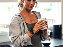 Amazfit smartwatch users have shared feedback on their Food Log testing experience. (Image source: Amazfit)