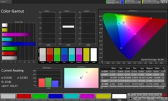 CalMAN color space sRGB