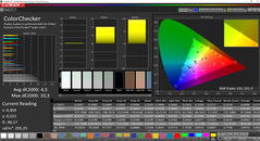 CalMAN ColorChecker (sRGB target color space)