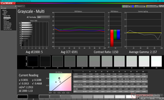 Grayscale before calibration (vs. P3)