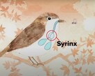 Birds can store data (image source: Benn Jordan YouTube channel)