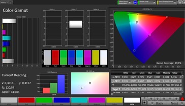 CalMAN color space sRGB