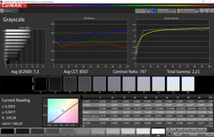 Grayscale (professional mode, target color space sRGB)