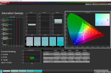 Saturation (Color Scheme: Warm Tones, Target Color Space: sRGB)