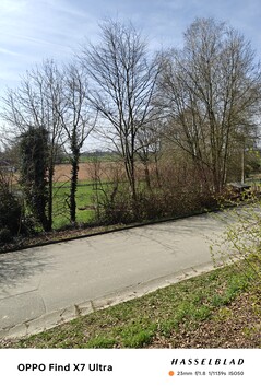 Picture taken with the main camera