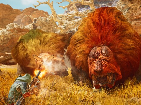 Monster Hunter Wilds desert combat (Image source: Steam)