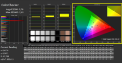 CalMAN - ColorChecker (calibrated)