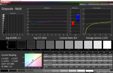 CalMAN Grayscale (target color space sRGB)