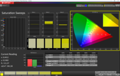 CalMAN saturation calibrated