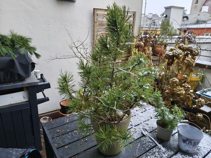 Photo with the main camera