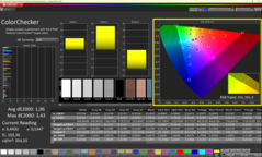 Calman ColorChecker