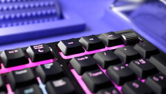 Razer Ornata V2 gaming keyboard closeup (Source: Razer)